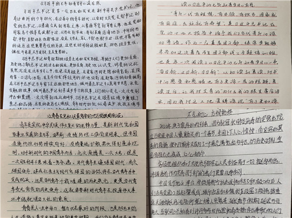 2025新澳门免费原料大全