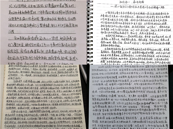 2025新澳门免费原料大全