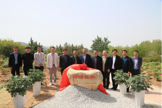 2025新澳门免费原料大全