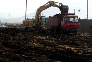 2025新澳门免费原料大全