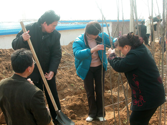 2025新澳门免费原料大全