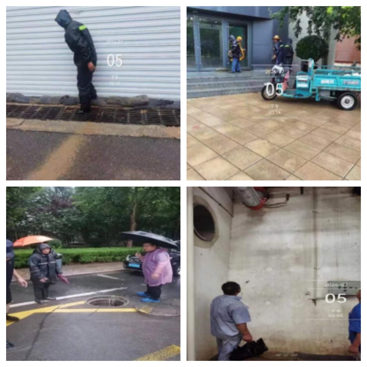 2025新澳门免费原料大全