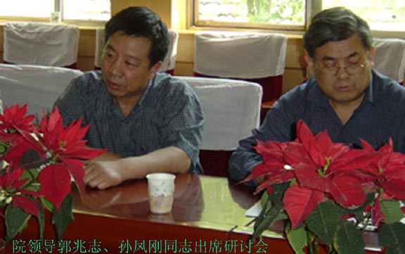 2025新澳门免费原料大全