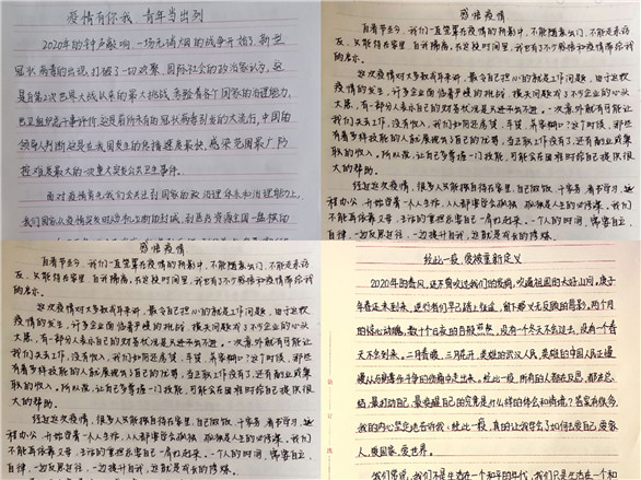 2025新澳门免费原料大全