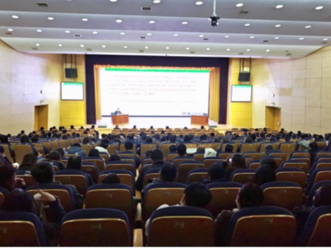 2025新澳门免费原料大全