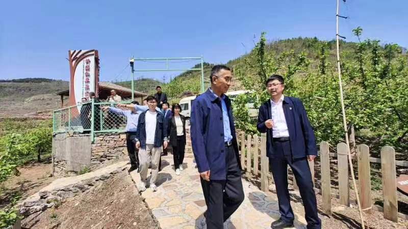 2025新澳门免费原料大全