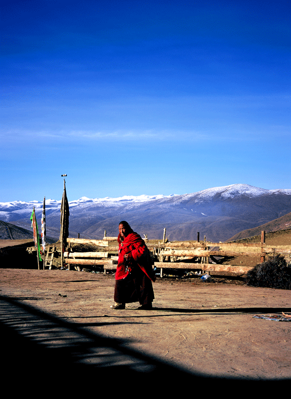 2025新澳门免费原料大全