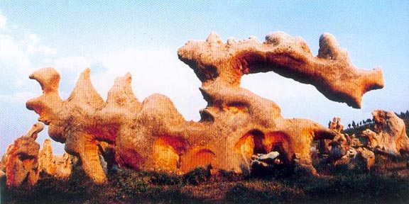 2025新澳门免费原料大全