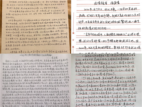 2025新澳门免费原料大全