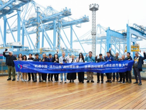 2025新澳门免费原料大全