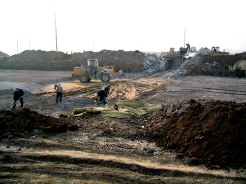 2025新澳门免费原料大全