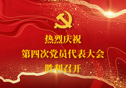 2025新澳门免费原料大全